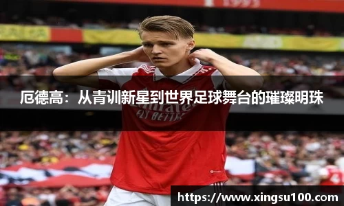 厄德高：从青训新星到世界足球舞台的璀璨明珠